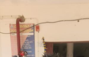 जशपुर जिले से बड़ी खबर : निर्दयी पिता ने 23 साल की पुत्री को टांगी से वार कर मौत के घाट उतारा