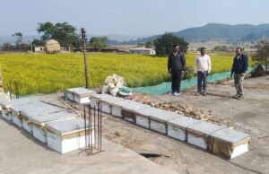 किसानों के लिए मधुमक्खी पालन कम लागत में ज्यादा मुनाफा