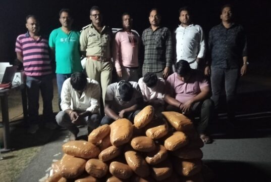 नशे के सौदागरों खिलाफ जशपुर पुलिस की बड़ी कार्यवाही : 76 किलोग्राम गांजा के साथ एक विधि से संघर्षरत बालक सहित 04 आरोपी गिरफ्तार