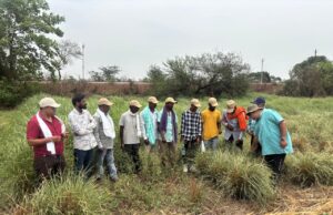 कृषि क्रांति की ओर जशपुर : किसानों ने रायपुर में किया अध्ययन भ्रमण, कॉन्ट्रैक्ट फार्मिंग से आय बढ़ाने के नए विकल्प को जाना, औषधीय-सुगंधित फसलों की वैज्ञानिक खेती और सुनिश्चित बाजार से जुड़ाव पर फोकस