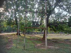 वर्षों का इंतजार खत्म, दाराखरिका में लगा ट्रांसफार्मर – ग्रामीणों में खुशी की लहर, सीएम कैम्प कार्यालय बगिया में ग्रामीणों ने लगाई थी गुहार, मुख्यमंत्री विष्णुदेव साय का जताया आभार