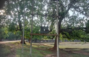 वर्षों का इंतजार खत्म, दाराखरिका में लगा ट्रांसफार्मर – ग्रामीणों में खुशी की लहर, सीएम कैम्प कार्यालय बगिया में ग्रामीणों ने लगाई थी गुहार, मुख्यमंत्री विष्णुदेव साय का जताया आभार