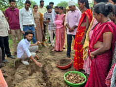 धमतरी का ‘नगरी’ बनेगा हल्दी उत्पादन का नया हब : 250 किसानों ने थामा वैज्ञानिक खेती का हाथ, 250 टन पैदावार का लक्ष्य, छत्तीसगढ़ के वनांचल में ‘पीली क्रांति’ से बदलेगी ग्रामीण अर्थव्यवस्था की सूरत