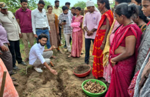 धमतरी का ‘नगरी’ बनेगा हल्दी उत्पादन का नया हब : 250 किसानों ने थामा वैज्ञानिक खेती का हाथ, 250 टन पैदावार का लक्ष्य, छत्तीसगढ़ के वनांचल में ‘पीली क्रांति’ से बदलेगी ग्रामीण अर्थव्यवस्था की सूरत