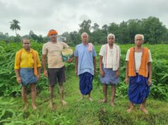 पाकरगांव के सुगंधित जवांफूल चावल की खुशबू पहुंच रही मुख्यमंत्री निवास तक, 10 एकड़ में सामूहिक खेती कर किसान बदल रहे समृद्धि की तस्वीर, 175 से 180 रुपये किलो बिक रहा जवांफूल चावल, कम लागत, बेहतर गुणवत्ता और बढ़ती मांग से किसानों का बढ़ा भरोसा