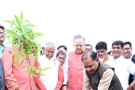 ‘एक पेड़ मां के नाम’ अभियान 3.0, विधानसभा परिसर में सीएम विष्णु देव साय और डॉ. रमन सिंह ने लगाया रुद्राक्ष का पौधा, लोकतंत्र के मंदिर से पर्यावरण संरक्षण और मातृ सम्मान का सशक्त संदेश