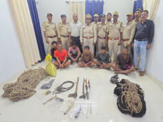 इन्द्रावती टाइगर रिजर्व में वन्यजीव शिकार पर बड़ी कार्रवाई, 6 आरोपी गिरफ्तार, मुखबिर की सूचना पर नीतिकाकलेर क्षेत्र में कार्रवाई, शिकार सामग्री और वन्यप्राणी का मांस बरामद