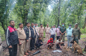 मृत भालू के नाखून काटकर ले जाने वाले दो आरोपी गिरफ्तार, डॉग स्क्वॉड की मदद से हुई पतासाजी, चार नाखून बरामद, वन्यजीव संरक्षण अधिनियम के तहत हुई कार्रवाई