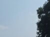 CG 03 A 2690 के वाहन चालक के जोरदार टक्कर मारने से ललित यादव का टूट गया कमर, पैसे की अभाव में रायपुर के बालाजी हॉस्पिटल से रेफर कराकर जिला चिकित्सालय जशपुर में करा रहा इलाज, FIR मे तपकर पुलिस ने आरोपी वाहन चालक के नाम का नहीं किया है उल्लेख, पढिए पूरी खबर